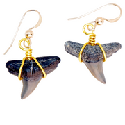 Shark Fossil Dangle Earrings 14kt Gold or Sterling Silver